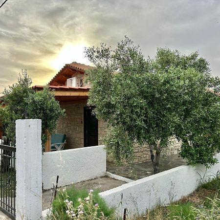 Elia Home Lefkogeia エクステリア 写真