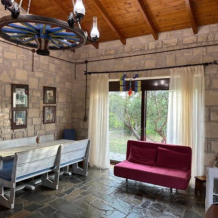 Elia Home Lefkogeia エクステリア 写真