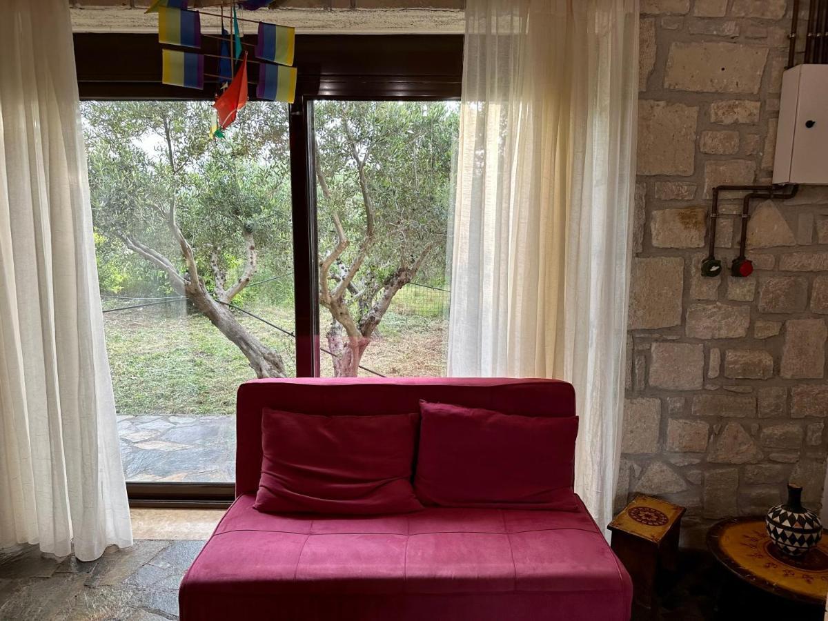 Elia Home Lefkogeia エクステリア 写真