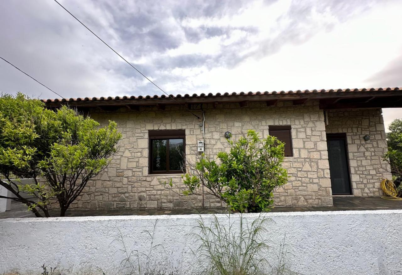 Elia Home Lefkogeia エクステリア 写真